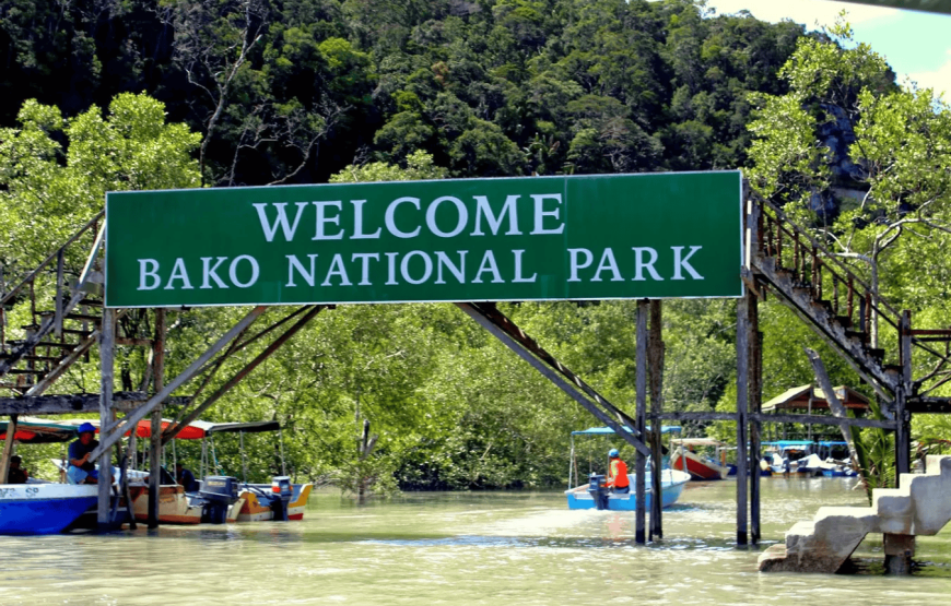 Ultimate Bako National Park Wildlife Adventure – Shared Day Tour