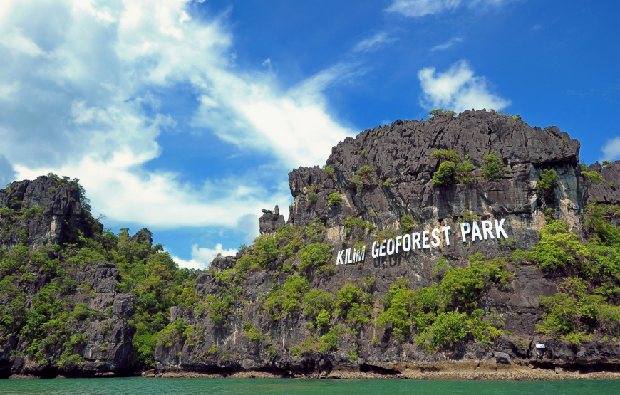 Enchanting Langkawi Mangrove Exploration Tour – Shared Tour