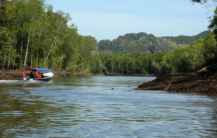 Enchanting Langkawi Mangrove Exploration Tour – Shared Tour