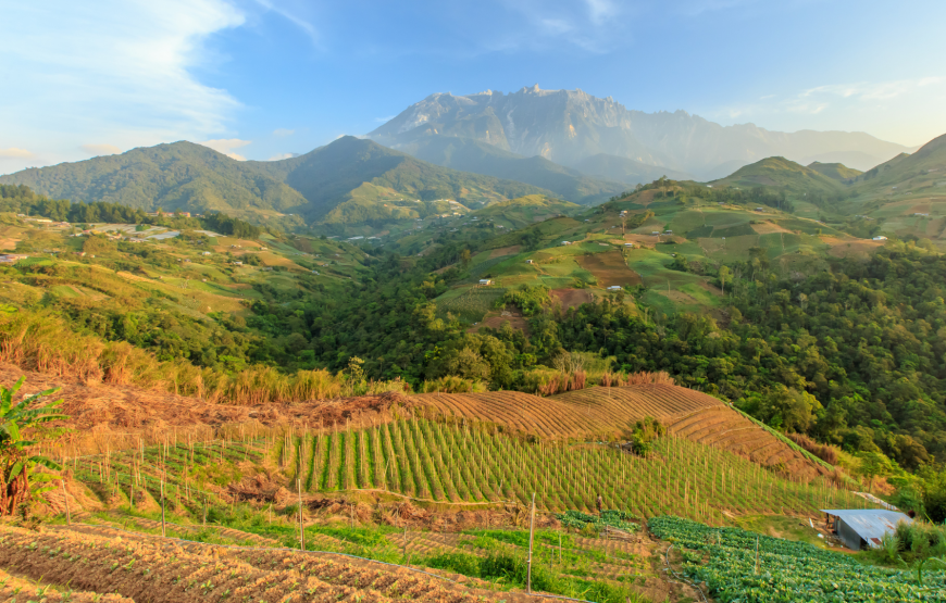 Scenic Wonders of Kundasang, Sabah – Shared Tour