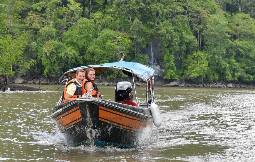 Langkawi Mangrove Tour