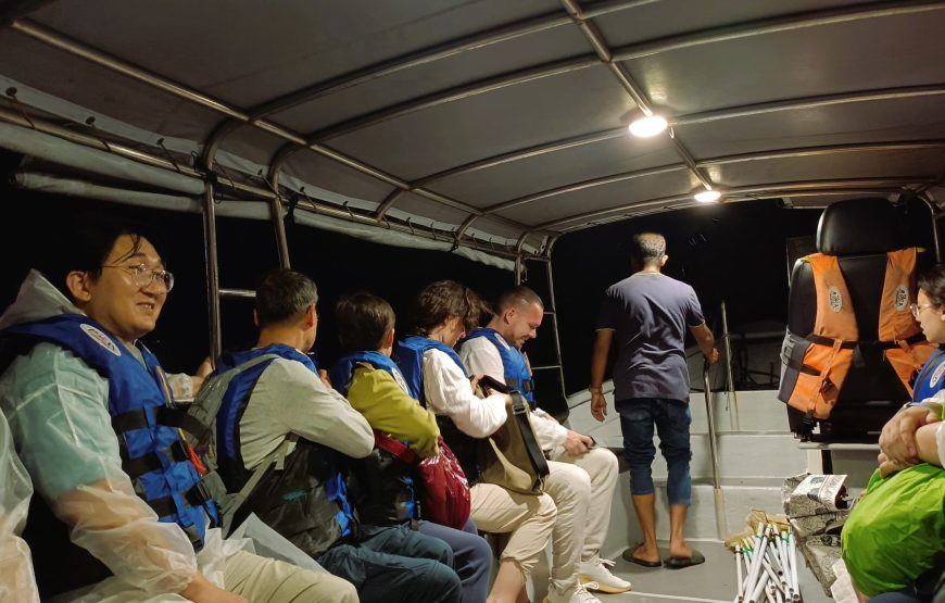 Magical Kuala Selangor Fireflies & Blue Tears Tour with Seafood Dinner – Shared Tour